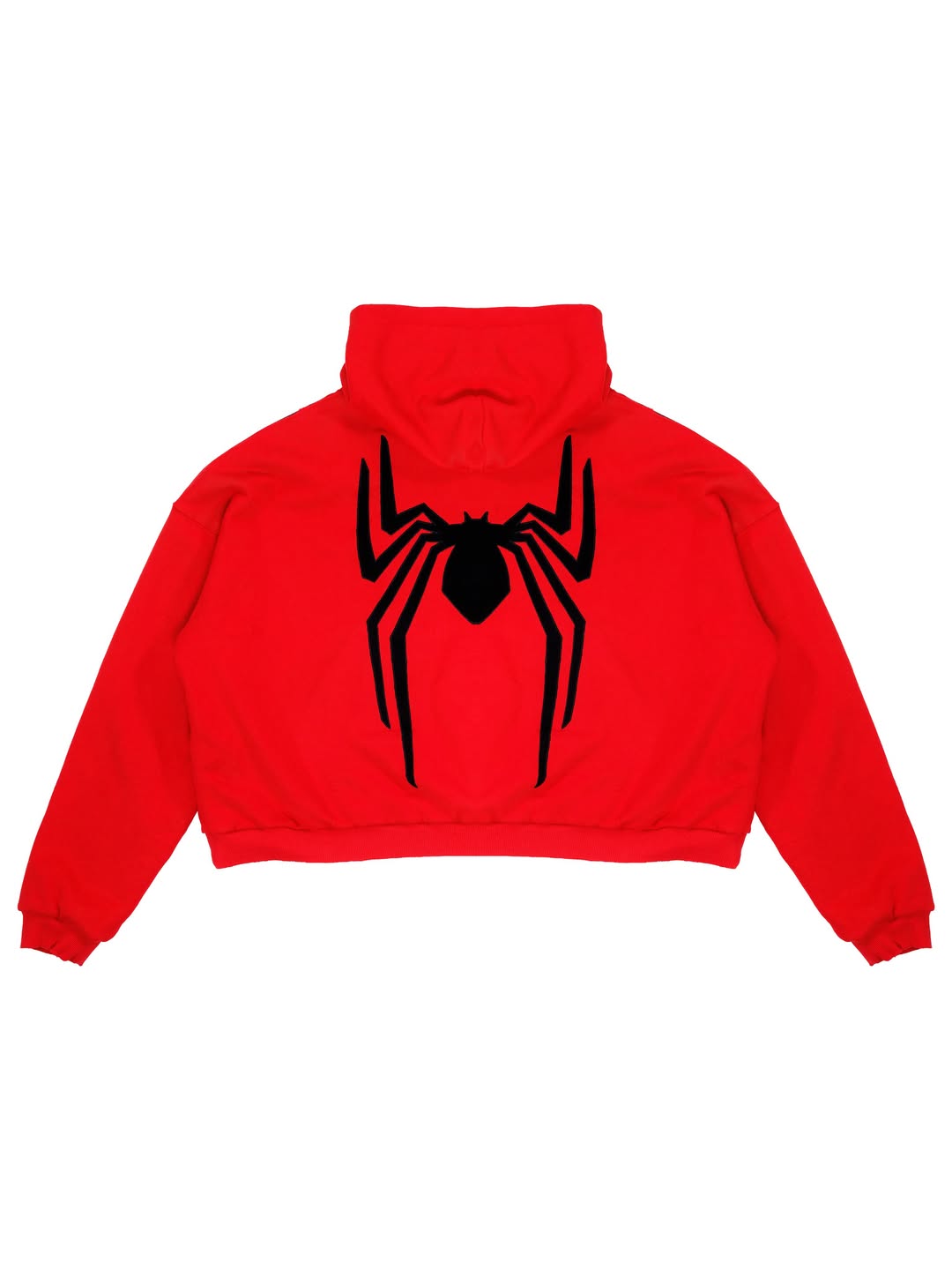 Spider Graphic Hoodie